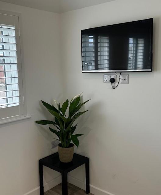 Apartament Heyric Padstow Zewnętrze zdjęcie